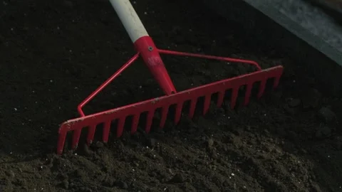 Gardening rake smoothing dark soil for planting or landscaping preparation Stock Footage 331474692