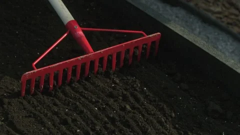 Gardening rake smoothing dark soil for planting or landscaping projects Stock Footage 331474710