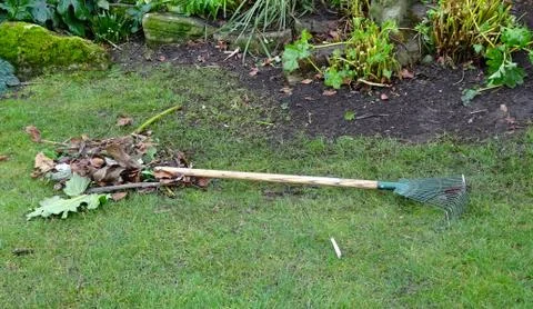 Gardening Rake Tool Stock Photos