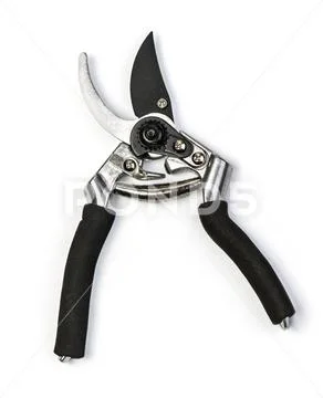 Gardening scissor isolated Stock Photos