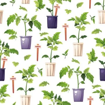Gardening Seamless Pattern with Tomato Seedlings in Pots and Wooden Markers.. Ilustración de archivo