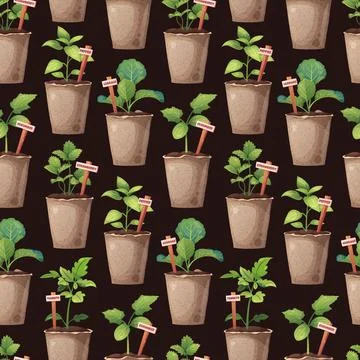 Gardening Seamless Pattern with Vegetable Seedlings in Peat Pots and Wooden M 스톡 일러스트