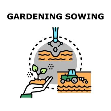 Gardening sowing growing plants developing agriculture fields Stock Illustration