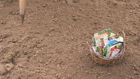 Gardening in spring 動画素材 98656436