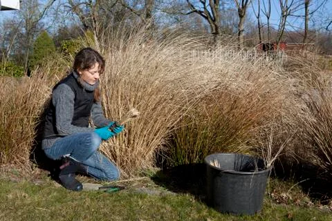 Gardening in the spring Stock Photos