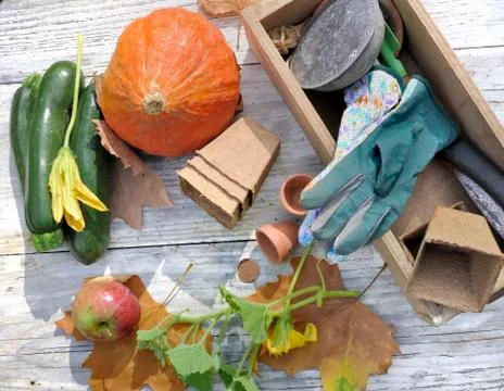 Gardening table with vegetables Stock Photos