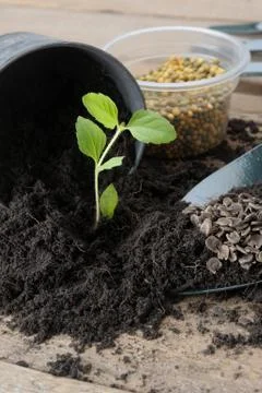 Gardening tool Stock Photos