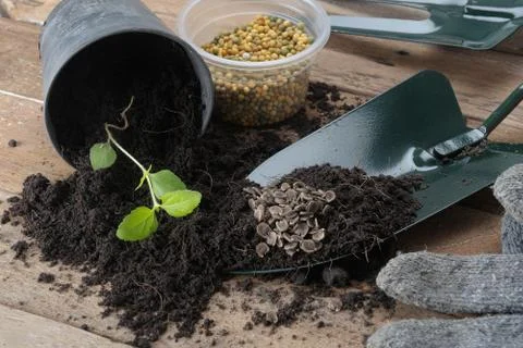 Gardening tool Stock Photos