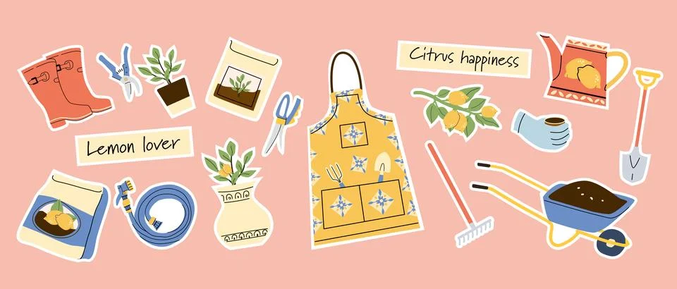Gardening Tools and Citrus Elements Set in Cartoon Style Stock Illustration