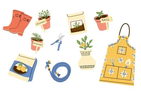 Gardening Tools and Herbs Set in Cartoon Style for Mediterranean Garden イラスト素材