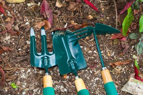 Gardening tools on the ground in backyard Stock Photos