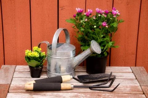 Gardening tools. Stock Photos