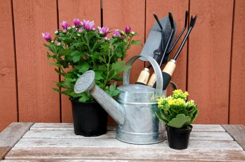 Gardening tools. Stock Photos