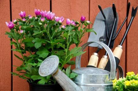 Gardening tools. Stock Photos