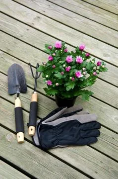 Gardening tools. Stock Photos