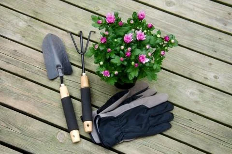 Gardening tools. Stock Photos