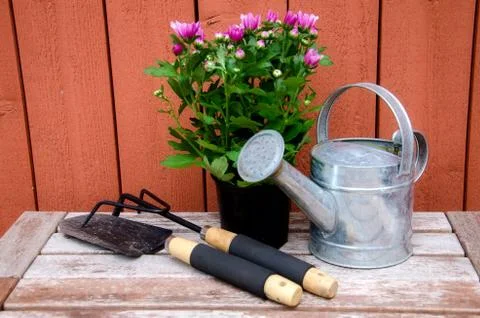 Gardening tools. Foto stock