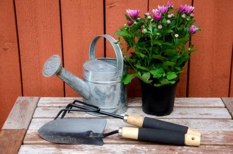 Gardening tools. Stock Photos