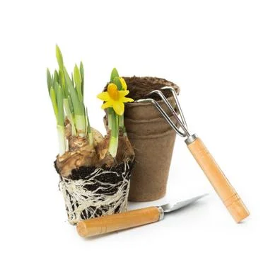 Gardening tools Stock-Fotos