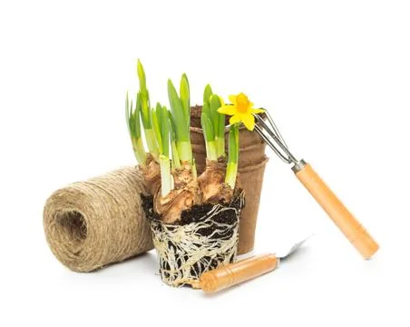 Gardening tools Stock Photos