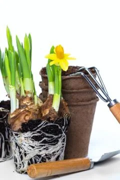 Gardening tools Stock Photos