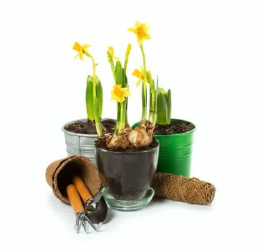 Gardening tools Stock Photos