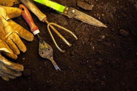 Gardening tools. Stock-Fotos