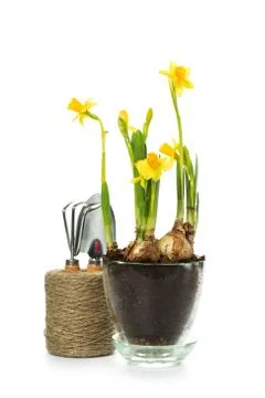 Gardening tools on white background Stock Photos