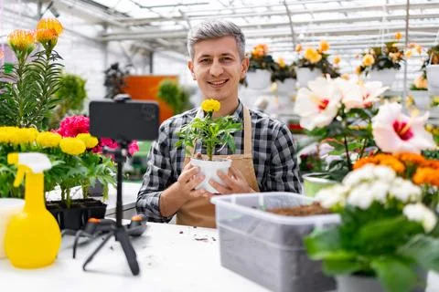 Gardening Tutorial in a Greenhouse Foto stock