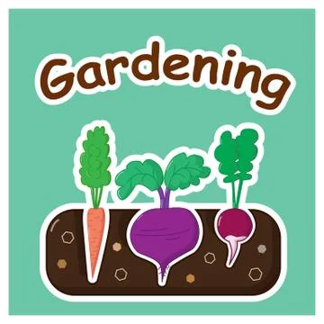 Gardening with vegetables Stock Illustration