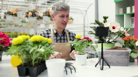 Gardening Video Tutorial In Greenhouse Video stock 311693313