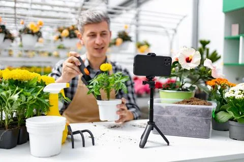 Gardening Video Tutorial In Greenhouse Stock Photos