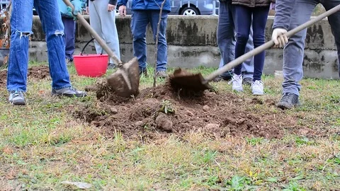 Gardening work 스톡 동영상 83379702