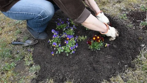 Gardening work Stock Footage 104749912