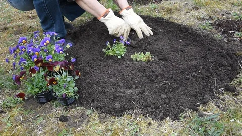 Gardening work Stock Footage 104759568