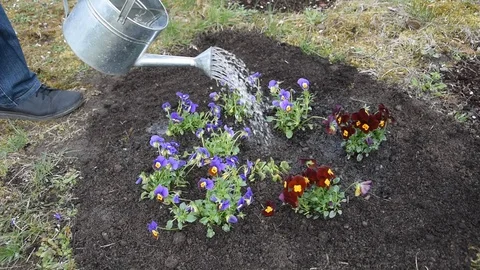 Gardening work Stock Footage 104759612