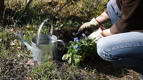 Gardening work Stock Footage 104766700