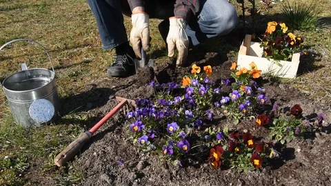 Gardening work Stock Footage 105146527