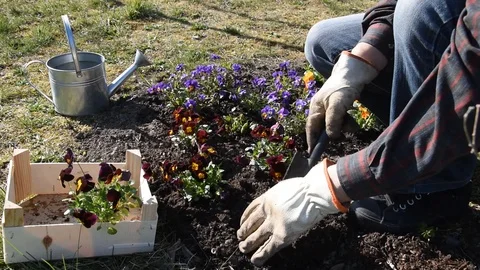 Gardening work Stock Footage 105146965