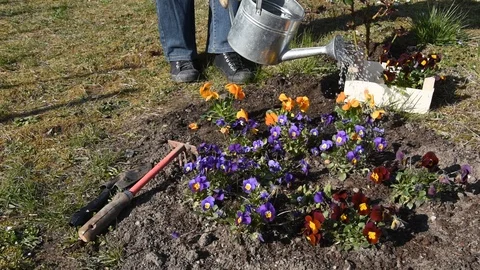 Gardening work Stock Footage 105175645