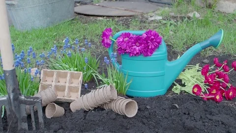 Gardening. Work in the spring garden Stock Footage 76087310