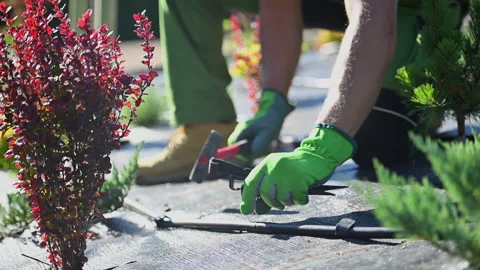Gardening Worker is Building Drip Irrigation System Vídeos de archivo 275743908