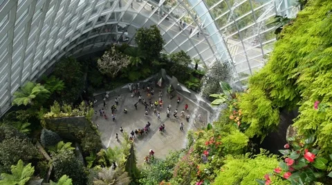Gardens By the Bay, Botanic Green Garden or City Park Stock Footage