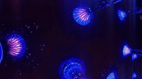 Gardens by the Bay Stock Footage 32403051