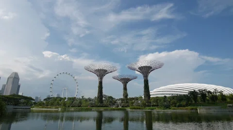 Gardens by the Bay Video stock 37901038