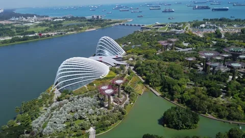 Gardens by the Bay Stock Footage 174064384