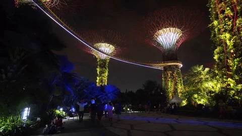 Gardens by the Bay at Night with dramatically lit supertrees. Stock Footage 84250998