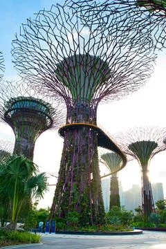 Gardens by the bay Stock Photos