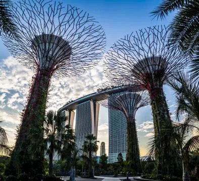 Gardens by the Bay Stock Photos
