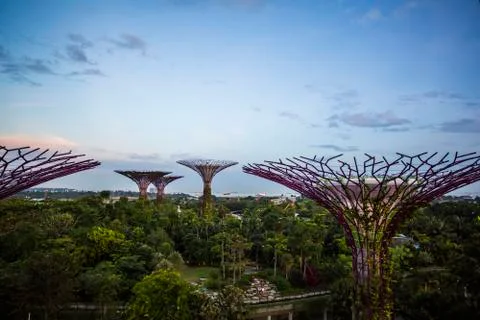Gardens by the Bay Stock Photos